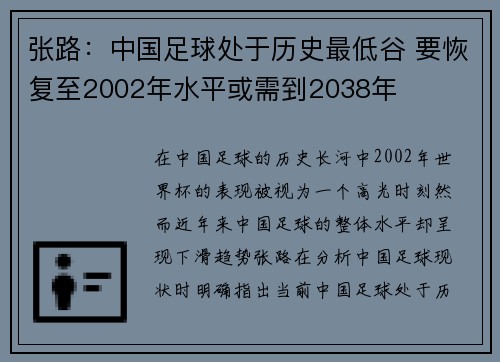 张路:中国足球处于历史最低谷 要恢复至2002年水平或需到2038年 张路:中国足球处于历史最低谷 要恢复至2002年水平或需到2038年