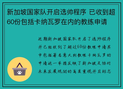 新加坡国家队开启选帅程序 已收到超60份包括卡纳瓦罗在内的教练申请 新加坡国家队开启选帅程序 已收到超60份包括卡纳瓦罗在内的教练申请