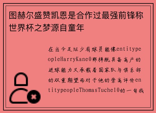 图赫尔盛赞凯恩是合作过最强前锋称世界杯之梦源自童年